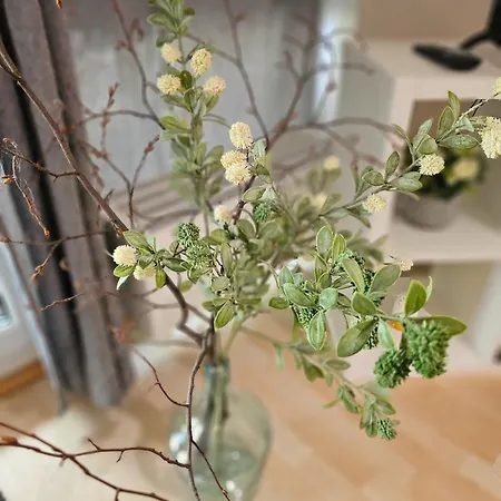 Ulmer Nestchen Appartement Ulm