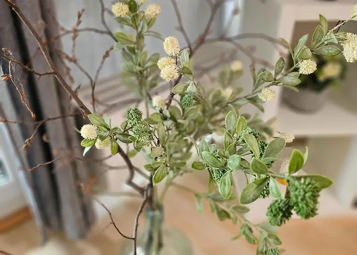 Ulmer Nestchen Appartement Ulm